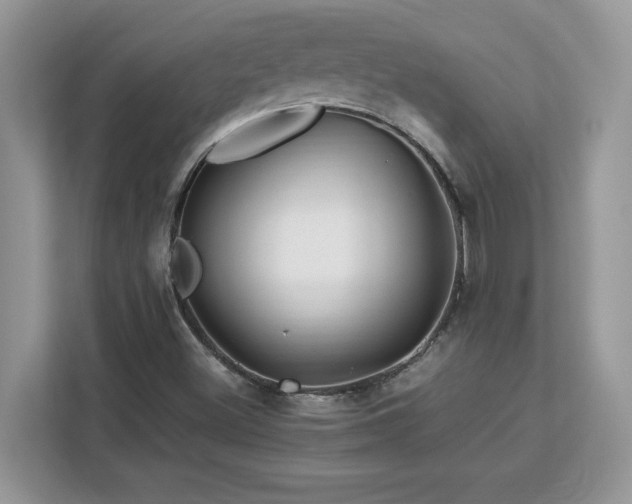 X0000113091500200908281233