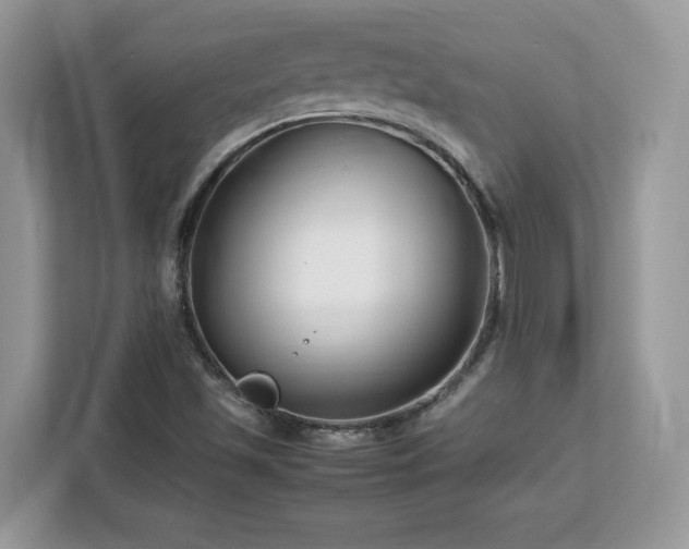 X0000113091501200908281233
