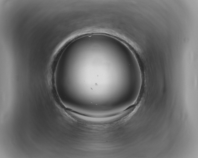 X0000113091502200908281233