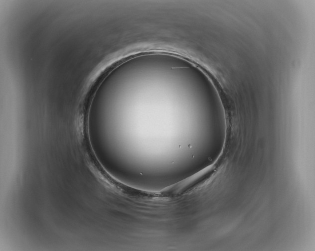 X0000113091503200908281233