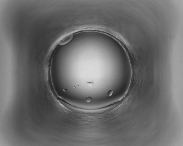 X0000113091504200908281233