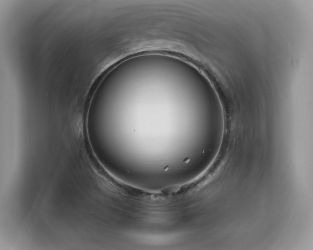 X0000113091505200908281233