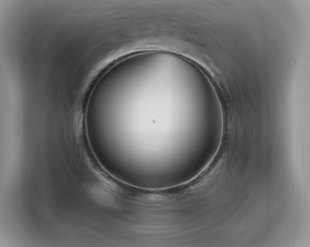 X0000113091507200908281233