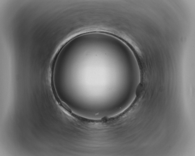 X0000113091508200908281233