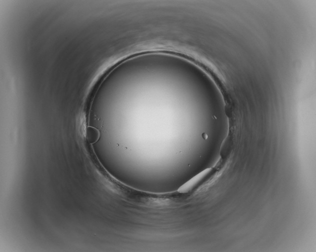X0000113091509200908281233