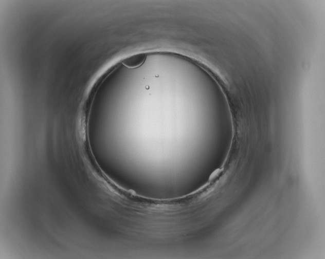 X0000113091510200908281233