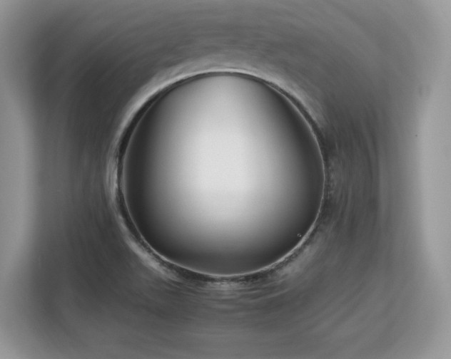 X0000113091511200908281233