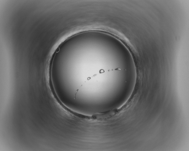 X0000113091512200908281233