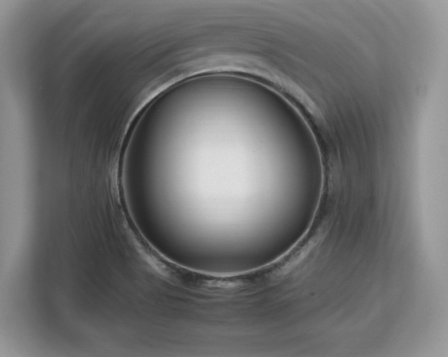 X0000113091513200908281233