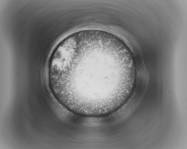 X0000113091514200908281233