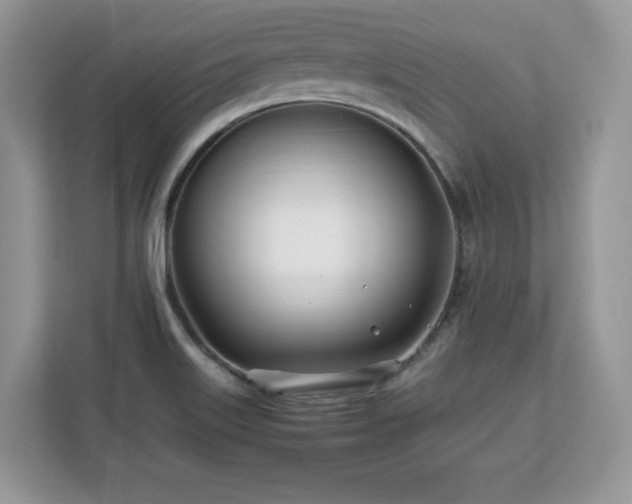 X0000113091515200908281233