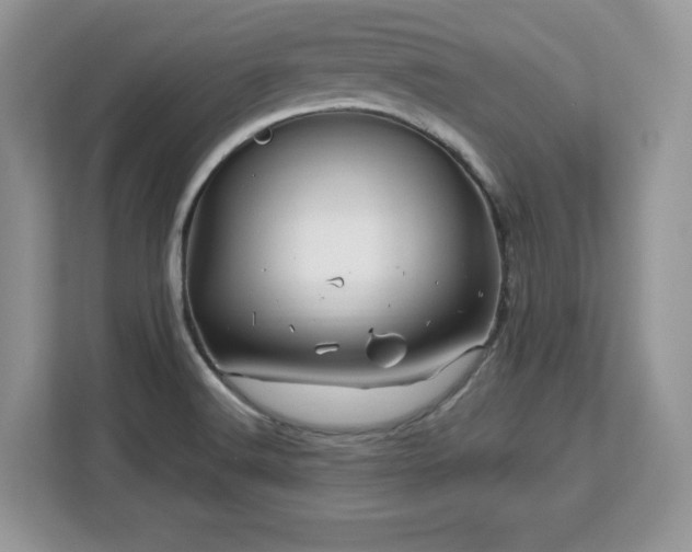 X0000113091516200908281233