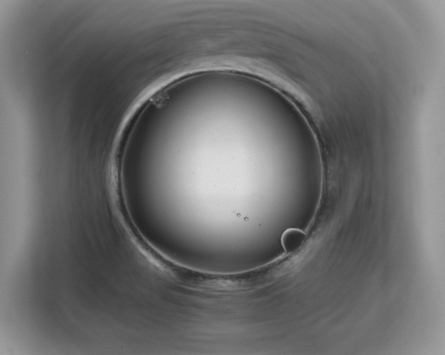 X0000113091517200908281233