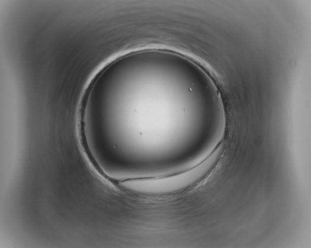 X0000113091518200908281233