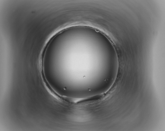 X0000113091519200908281233