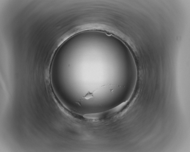 X0000113091521200908281233