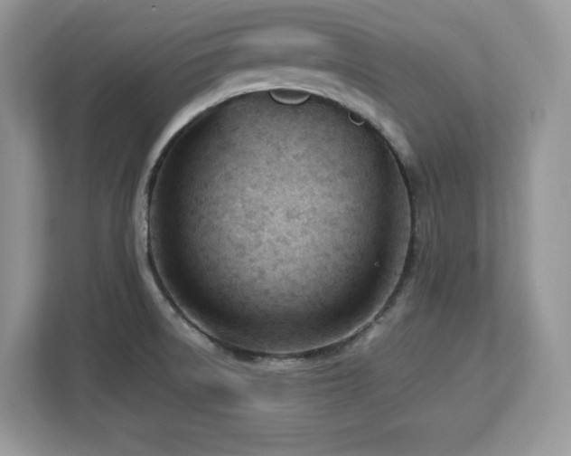 X0000113091522200908281233