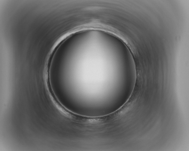 X0000113091523200908281233