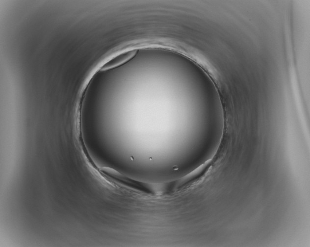 X0000113091524200908281233
