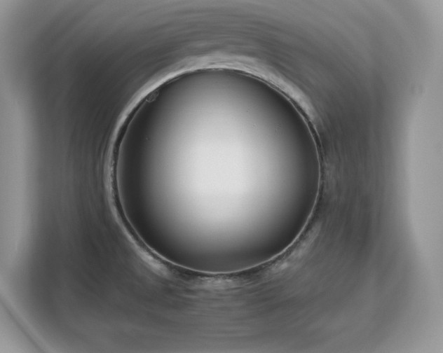 X0000113091525200908281233