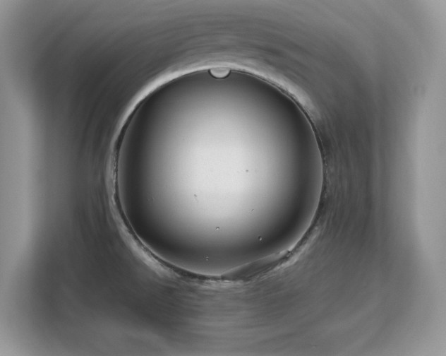 X0000113091526200908281233