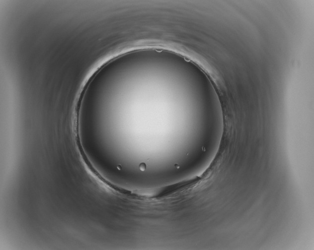 X0000113091527200908281233