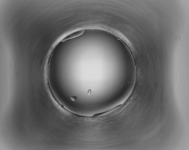 X0000113091528200908281233