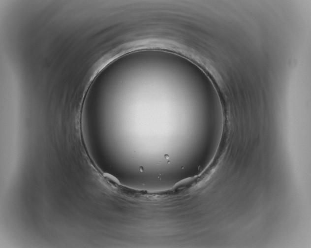 X0000113091529200908281233