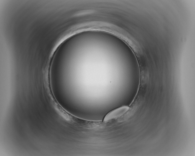 X0000113091530200908281233