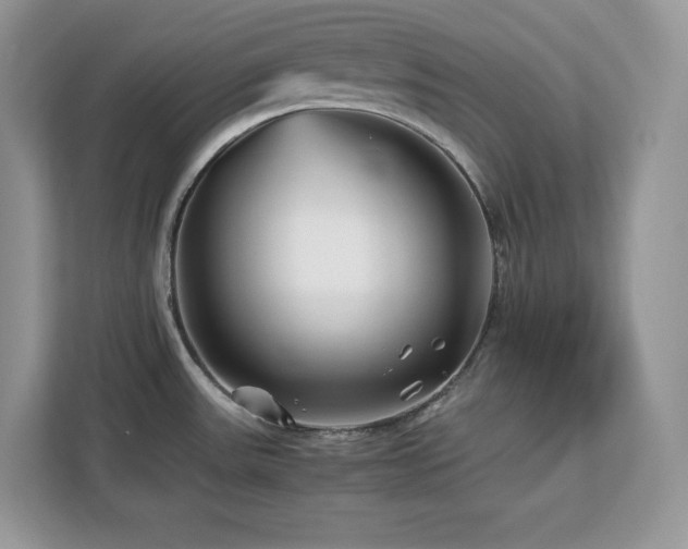 X0000113091531200908281233