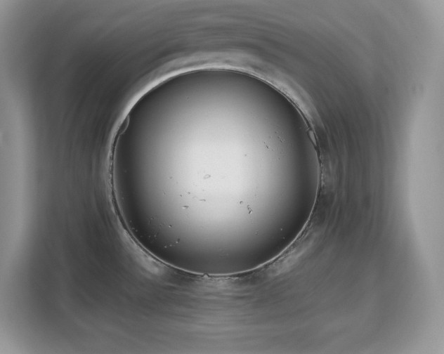 X0000113091532200908281233