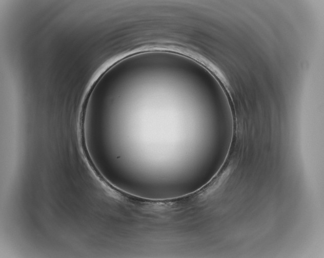 X0000113091533200908281233