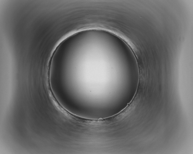 X0000113091534200908281233