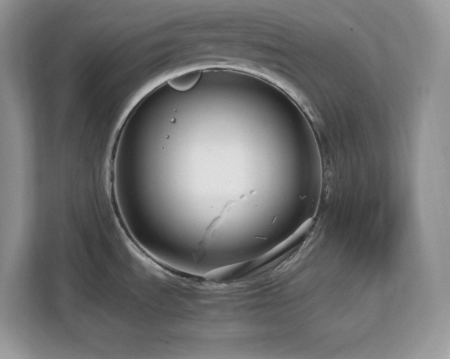 X0000113091535200908281233