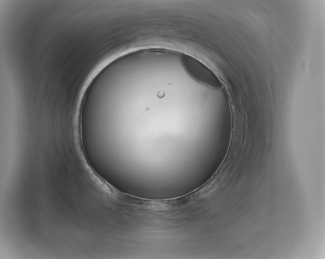 X0000113091536200908281233