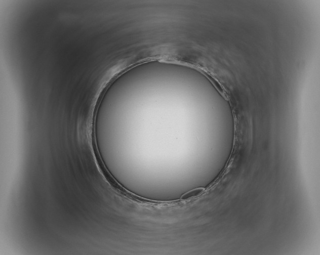 X0000113090003200909041158