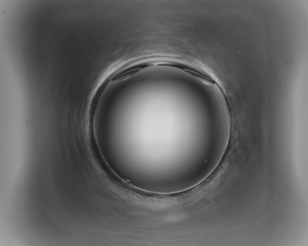 X0000113090008200909041158