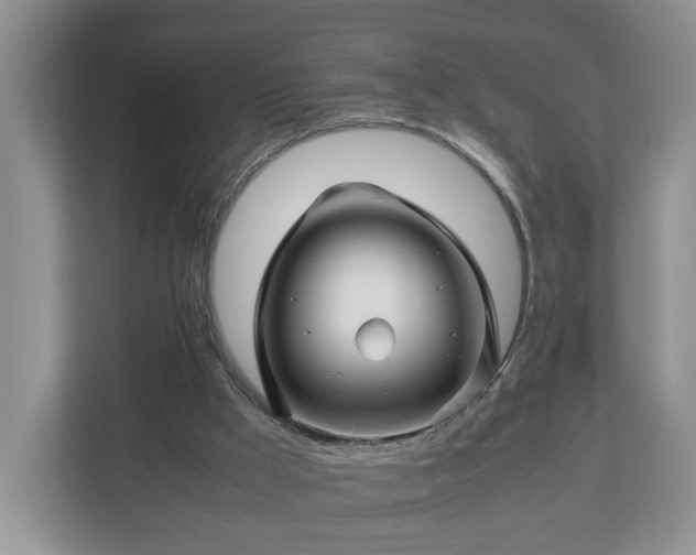 X0000113090009200909041158
