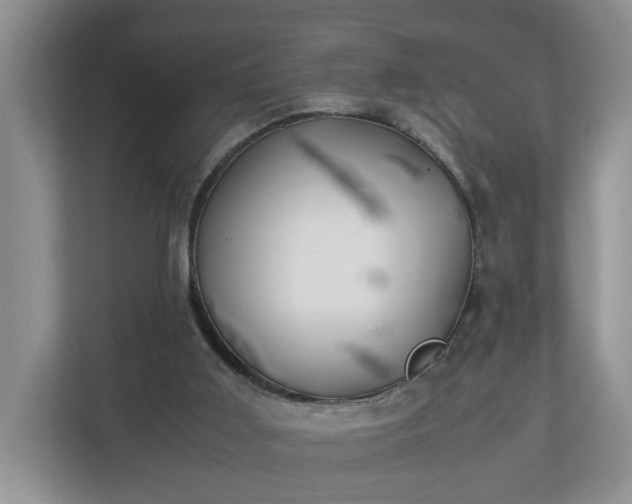 X0000113090011200909041158