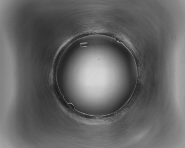 X0000113090012200909041158
