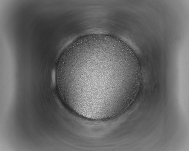 X0000113090014200909041158