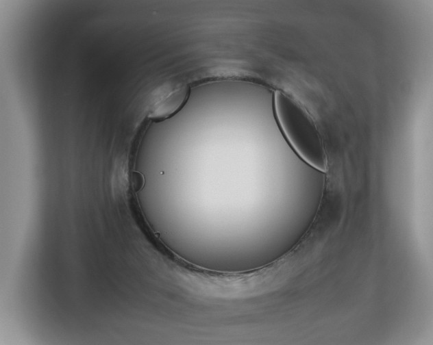 X0000113090015200909041158