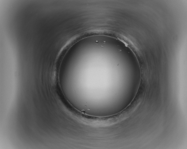 X0000113090016200909041158