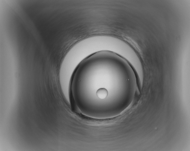 X0000113090017200909041158