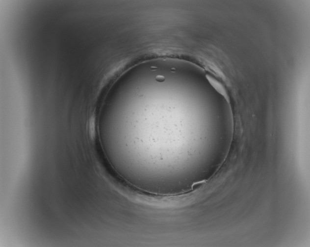 X0000113090019200909041158