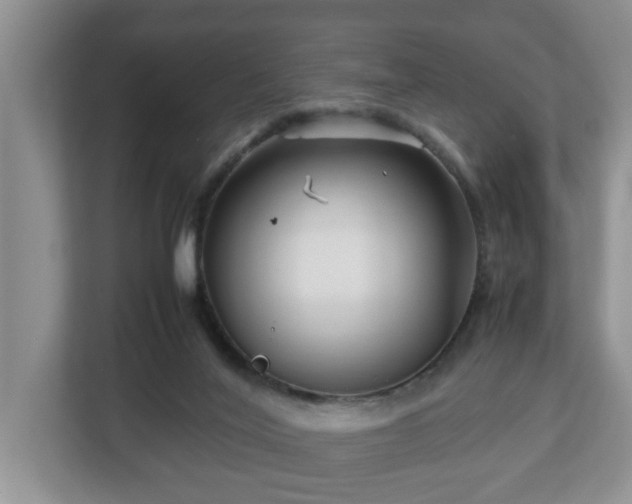X0000113090020200909041158