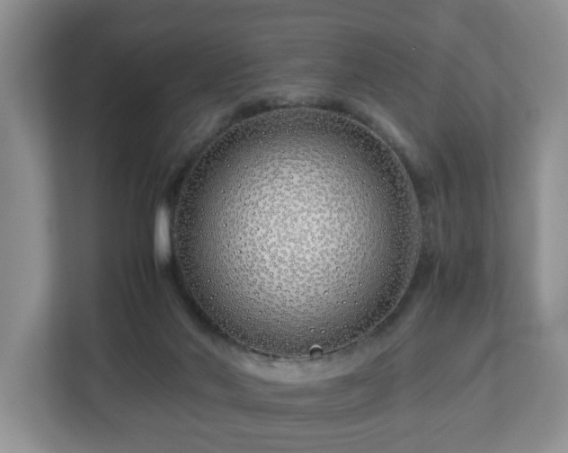X0000113090022200909041158