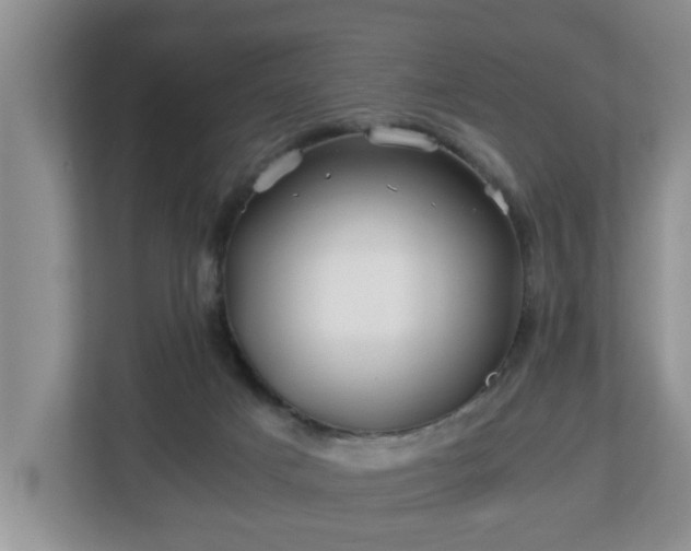 X0000113090025200909041158
