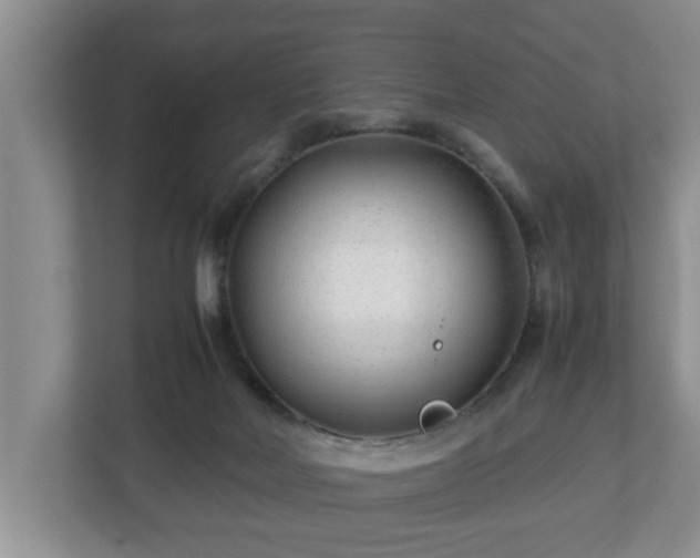 X0000113090026200909041158