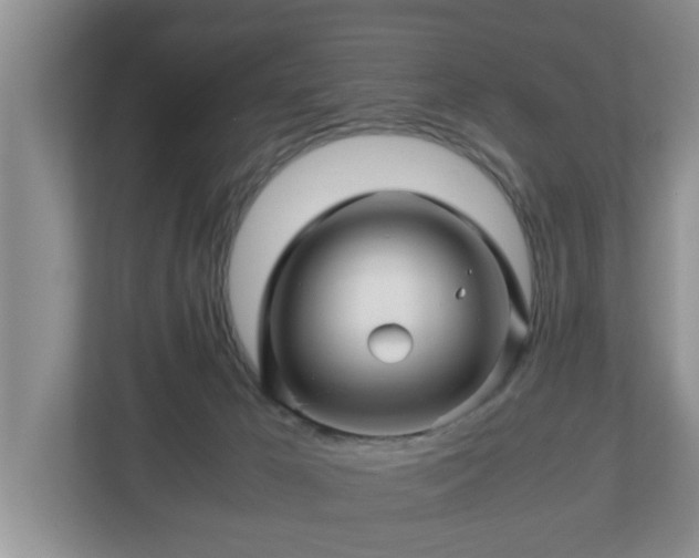 X0000113090029200909041158